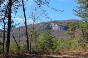Lot 39 Palmer Drive
