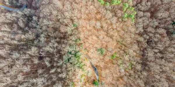 Image 4 Image 4