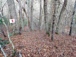 Lot #8 Wellspring Way