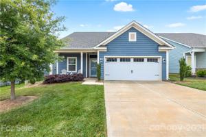 40137 Crooked Stick