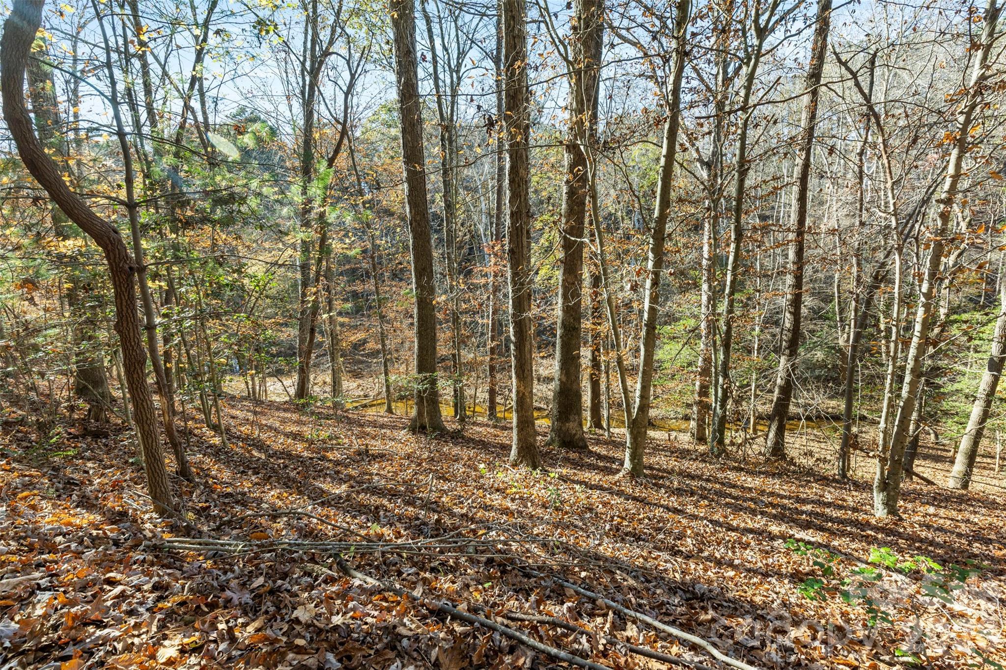 Image 4 Image 4