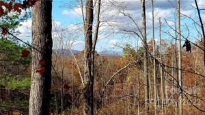 7.95 acres on Horizon