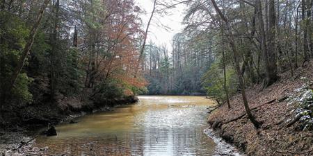 4.78 acres on Channel View Cove