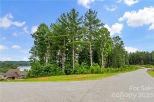 99999 Gray Ridge View Drive