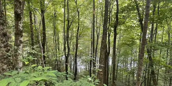 200 Sweet Birch Lane