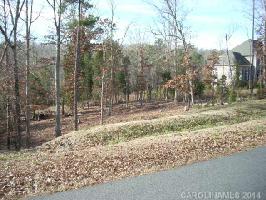 Lot 111 378 Squirrel Lane 