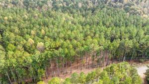 8300-8400 Lot 9 Catawba Cove