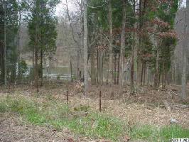 Lot 113 394 Squirrel Lane 