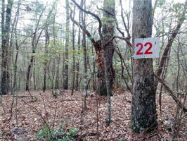 Lot #22 Wellspring Way