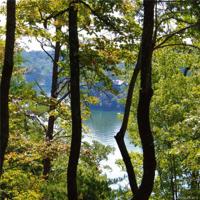 Lot 4 Sugarbush Point