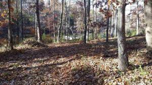 771 Cooks Cove Road