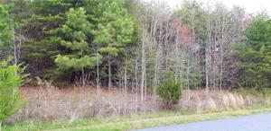 239 Gardner Point Drive