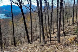 0 Hawks Nest Trail