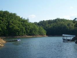 Lot #81 Fontana Lake Drive