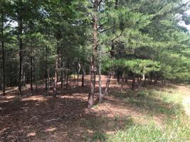 Lot 67 Lake Adger Parkway