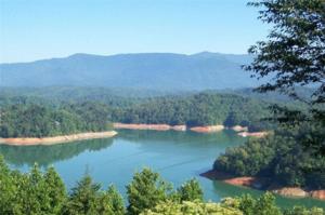 41-3 Smoky Mountain View