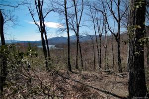 0 Hawks Nest Trail
