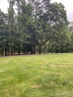 124 Dunes