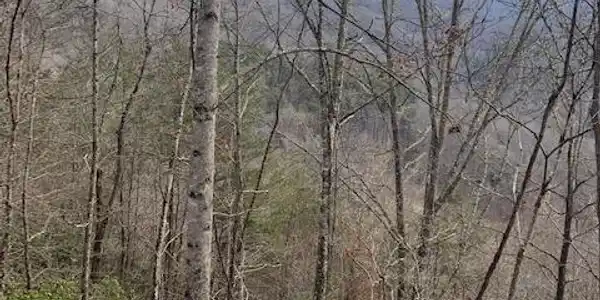 0 Johns Creek Road