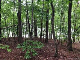 Lot 9 South Cove Road