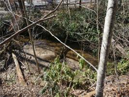 2045 Buffalo Creek
