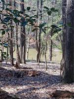 Lot 36 Fern Drive