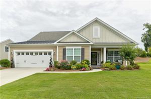 156 Hawks Creek Parkway