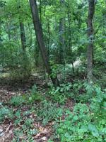 0 Deer Run