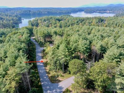 V/L 41 Frasier Fir Trail