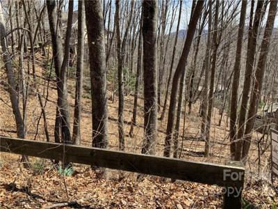 Lot-31 Mouzon Road