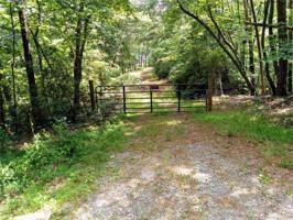 00000 Buffalo Shoals Road