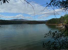 81 Broadleaf Trail
