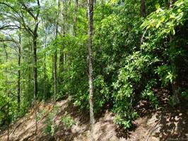 0 Bald Hill Court