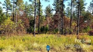 0 Big Pine