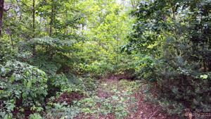 3101 Bear Paw NW