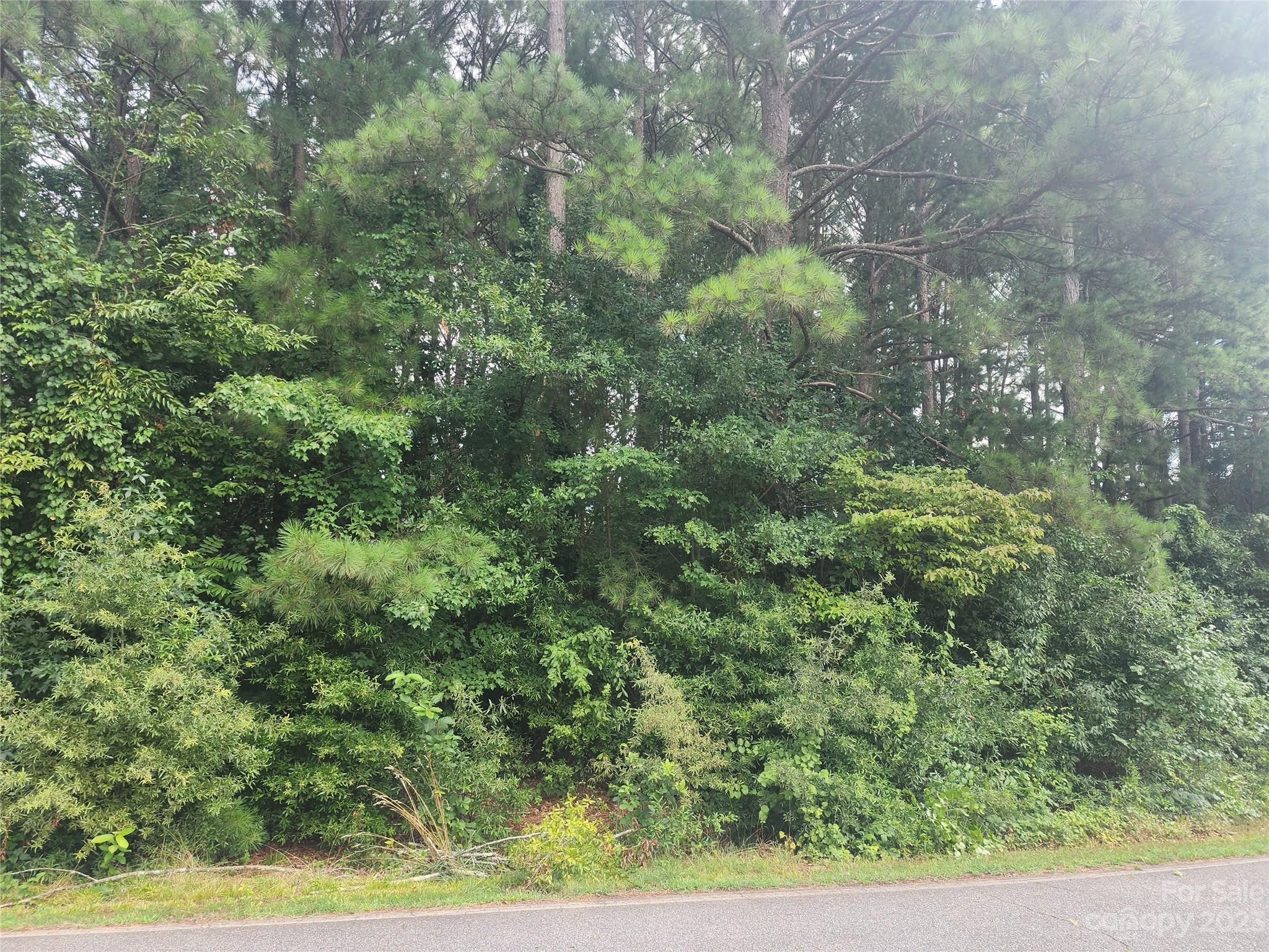 24 Shoreline Loop, Mooresville, NC lhrmls01748926