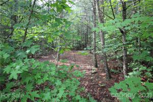 Lot 4 Ridge