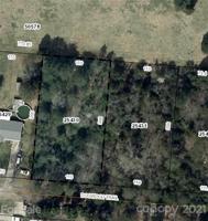 2021 Dogwood