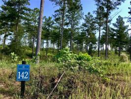 V/L 142 Coveside Drive