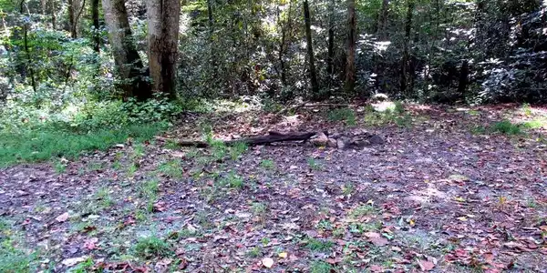 3420 Shook Cove Road