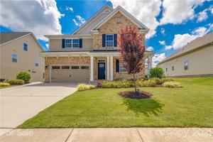 576 Rosemary