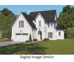 308 Palm Cove