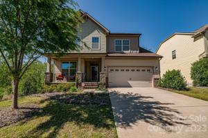 15416 Oleander