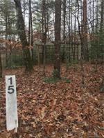 Lot 15 Shumont Estates Drive