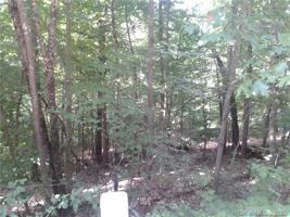223 mays mills Drive