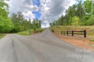 219 Big View
