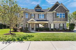 11904 Red Sorrell