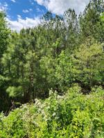 305 Table Rock Trace NW