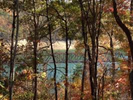 Lot #49-3 Cherokee Ridge