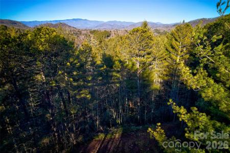 00 Piney Cove Road